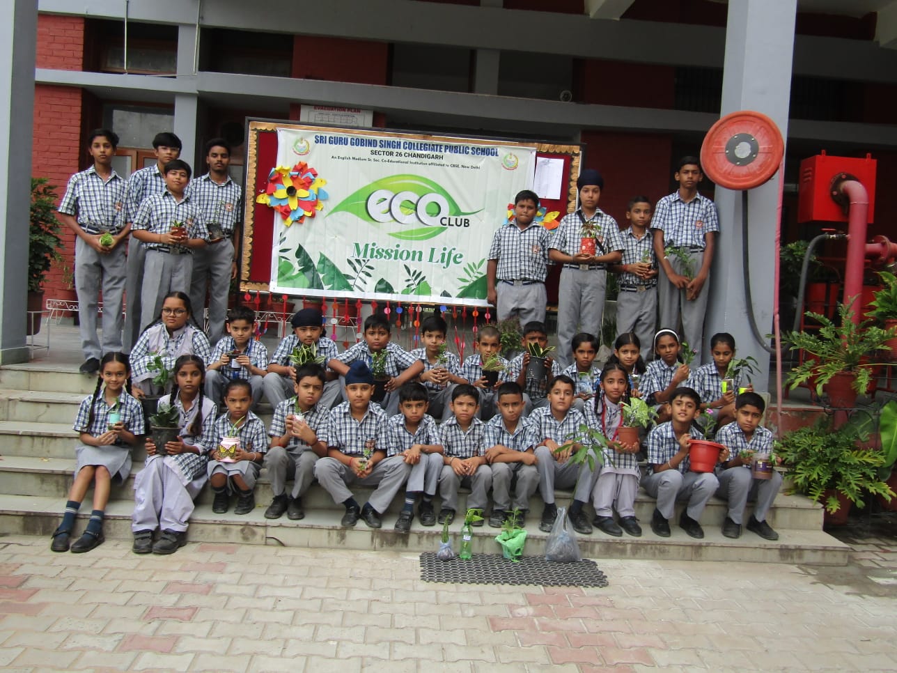 Tree Plantation Drive