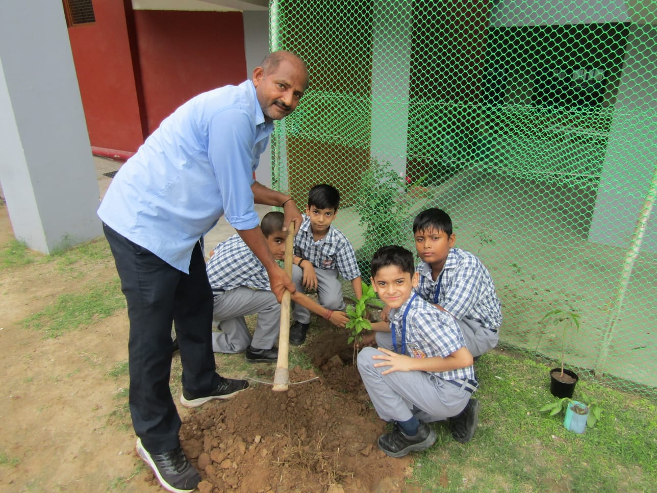 Tree Plantation Drive