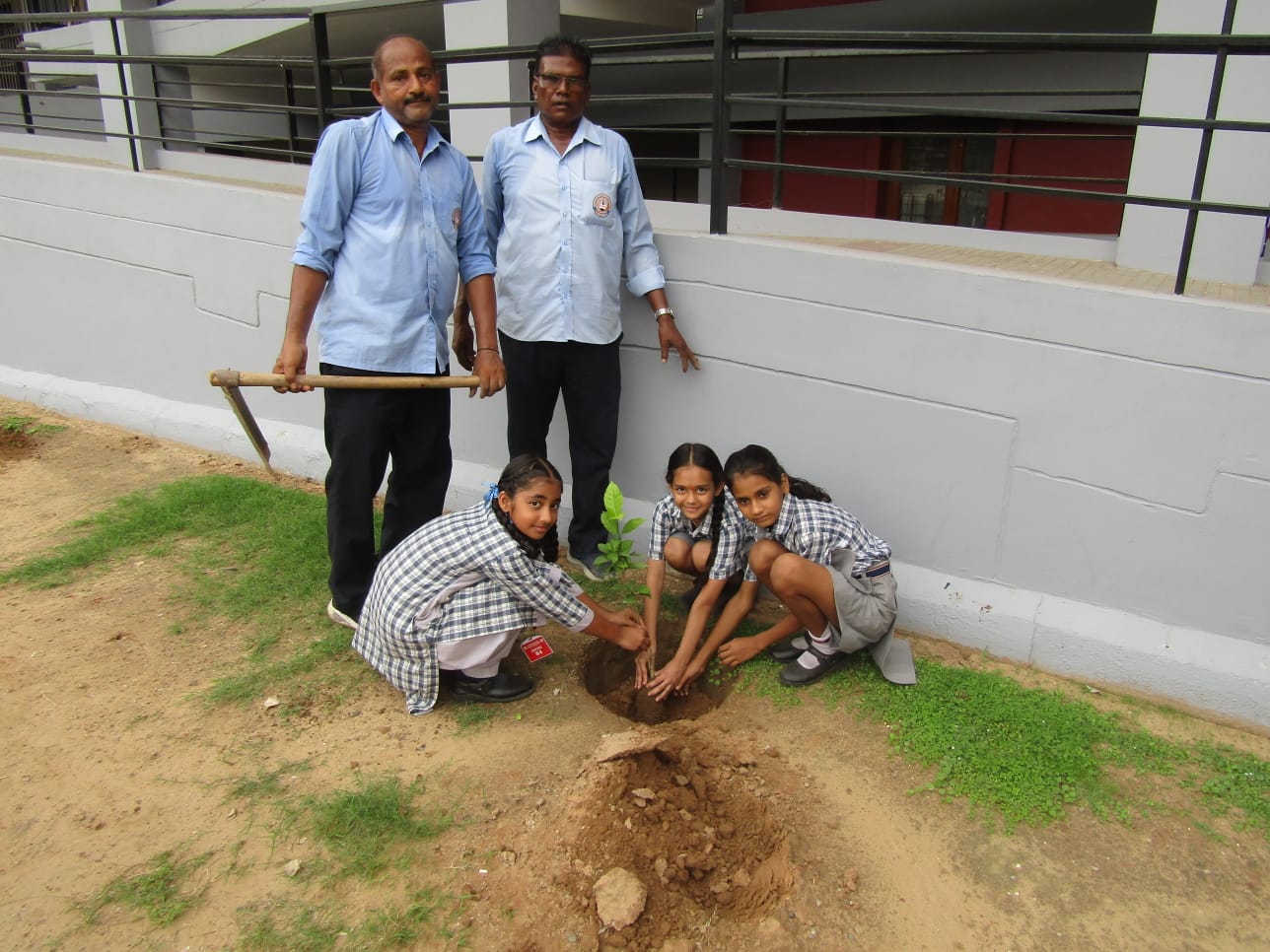 Tree Plantation Drive