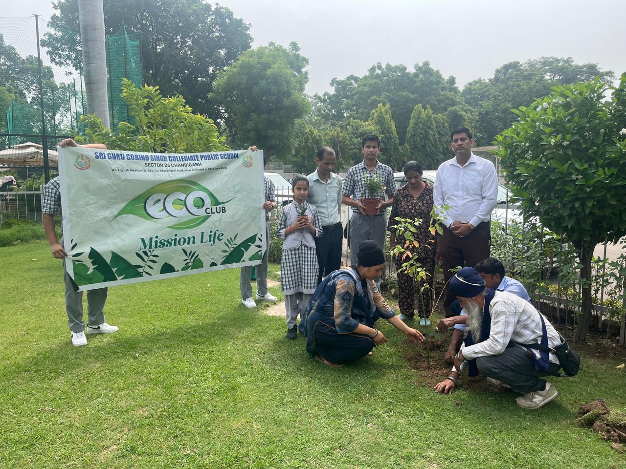 Tree Plantation Programme