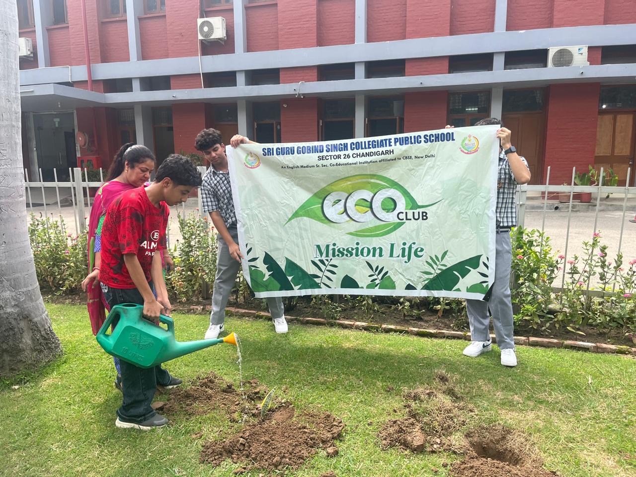 Tree Plantation Programme