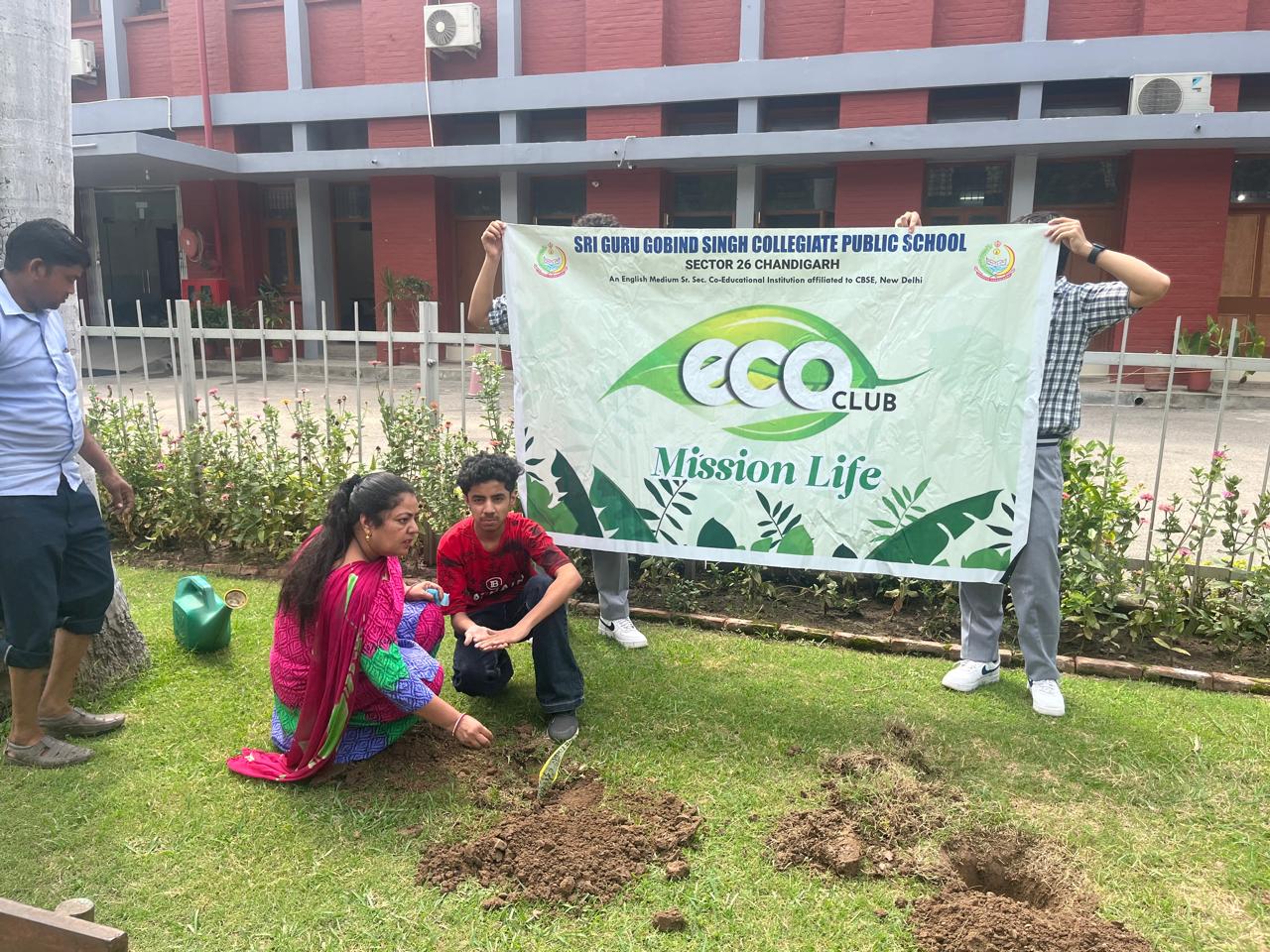 Tree Plantation Programme