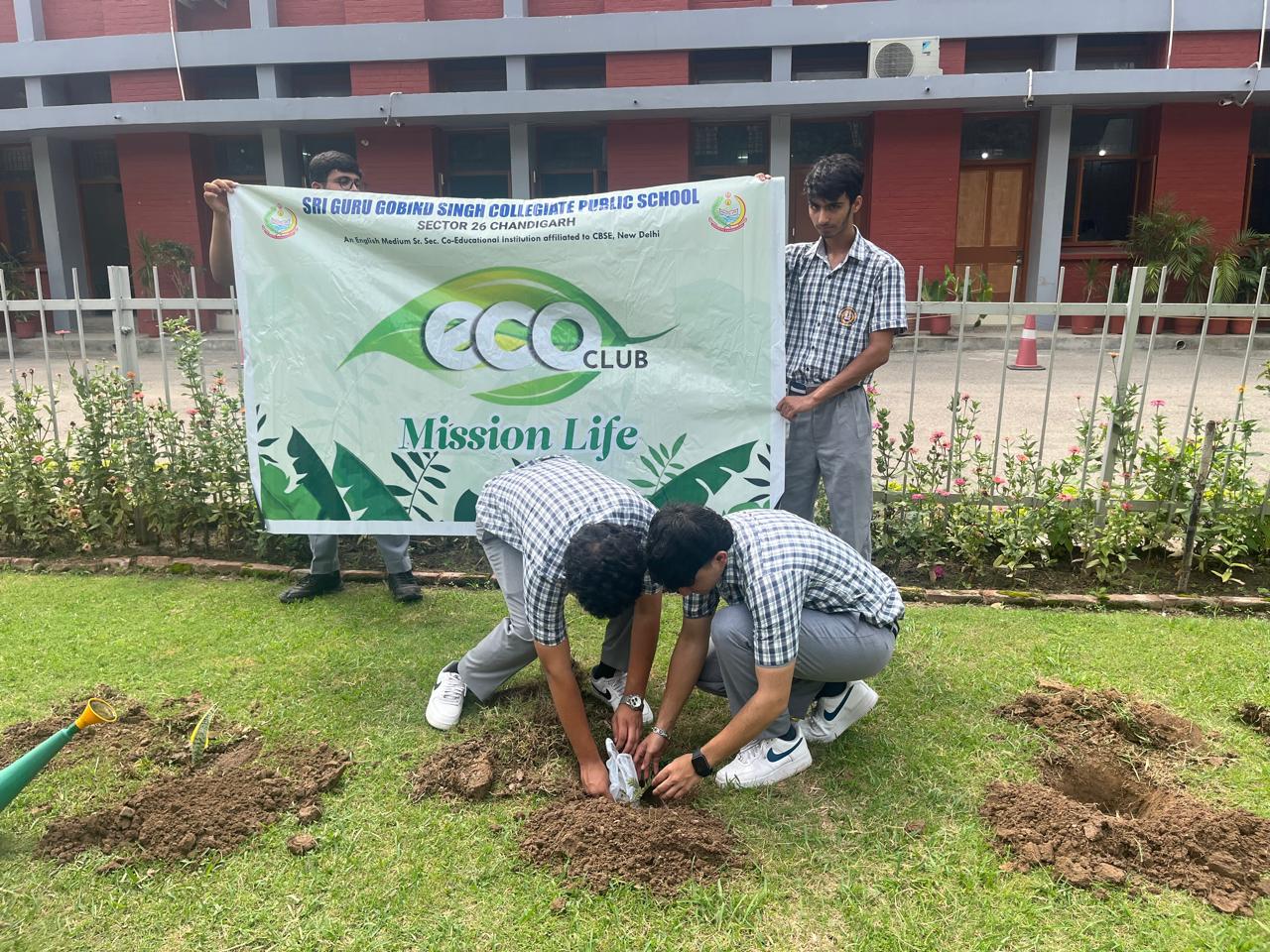 Tree Plantation Programme