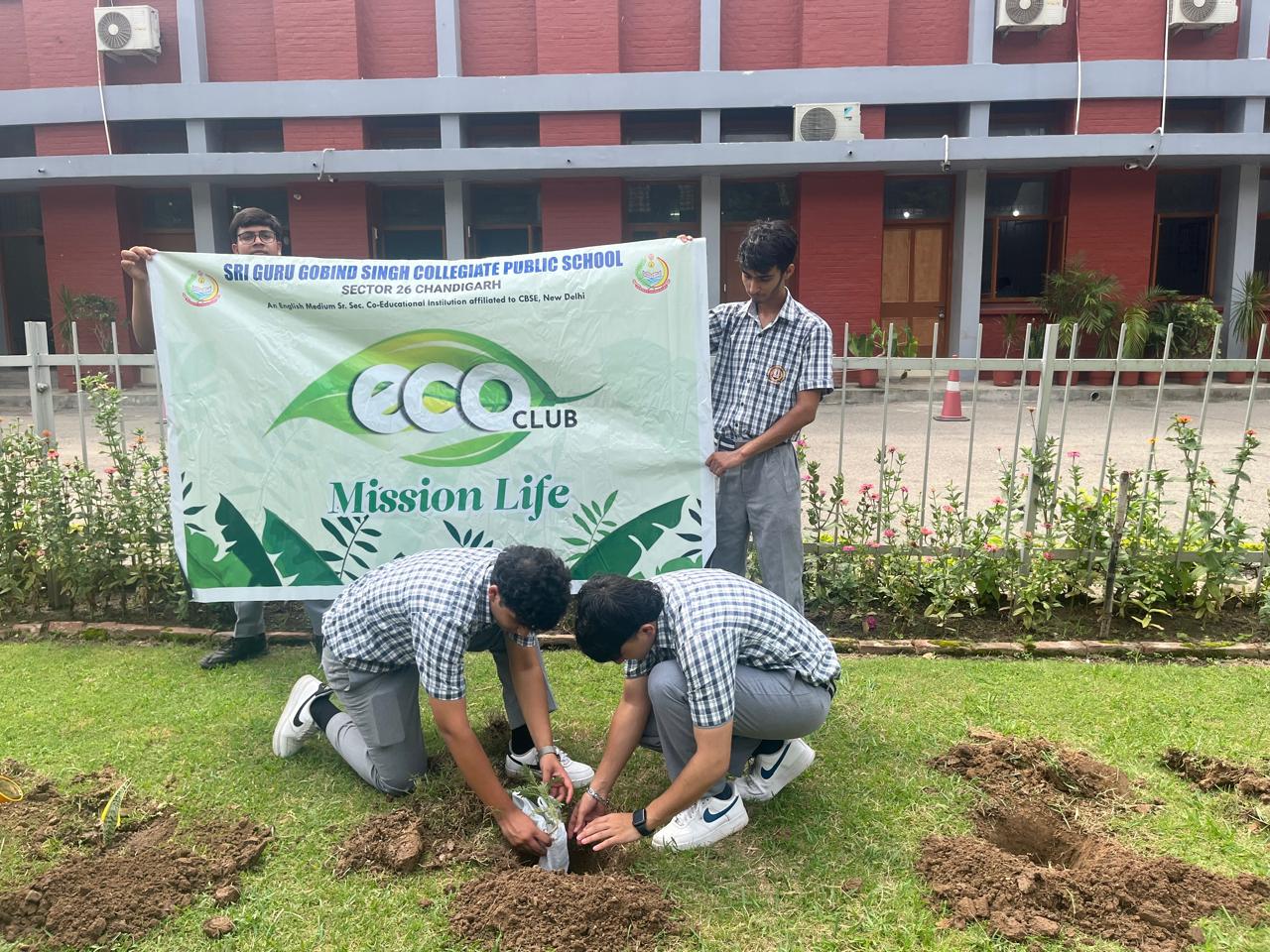 Tree Plantation Programme
