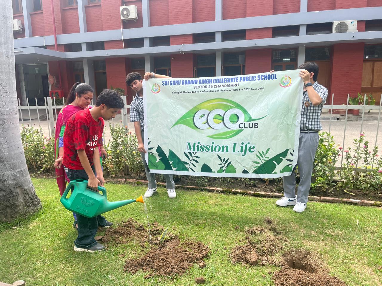 Tree Plantation Programme