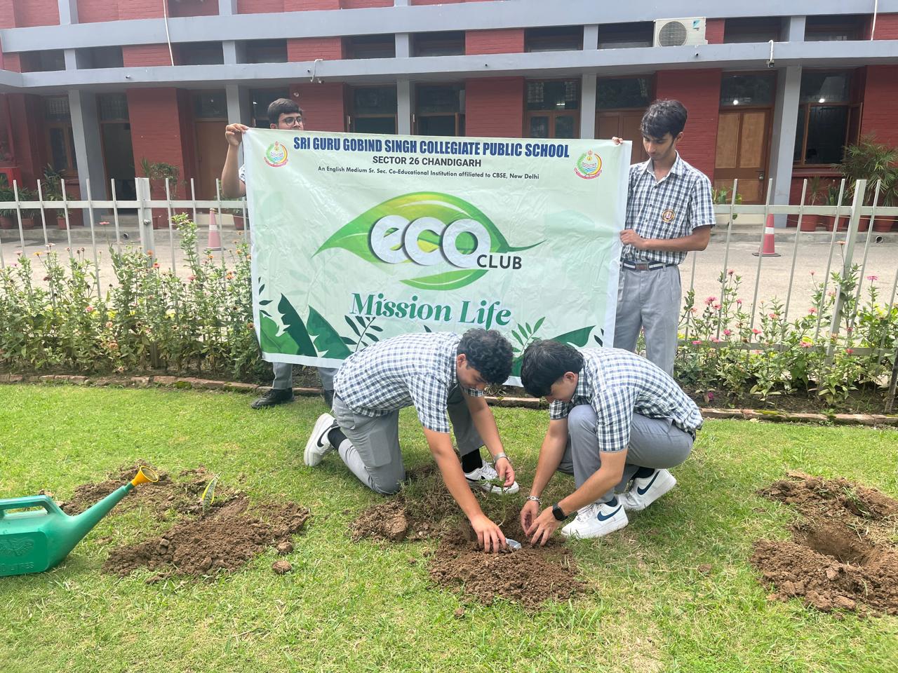 Tree Plantation Programme