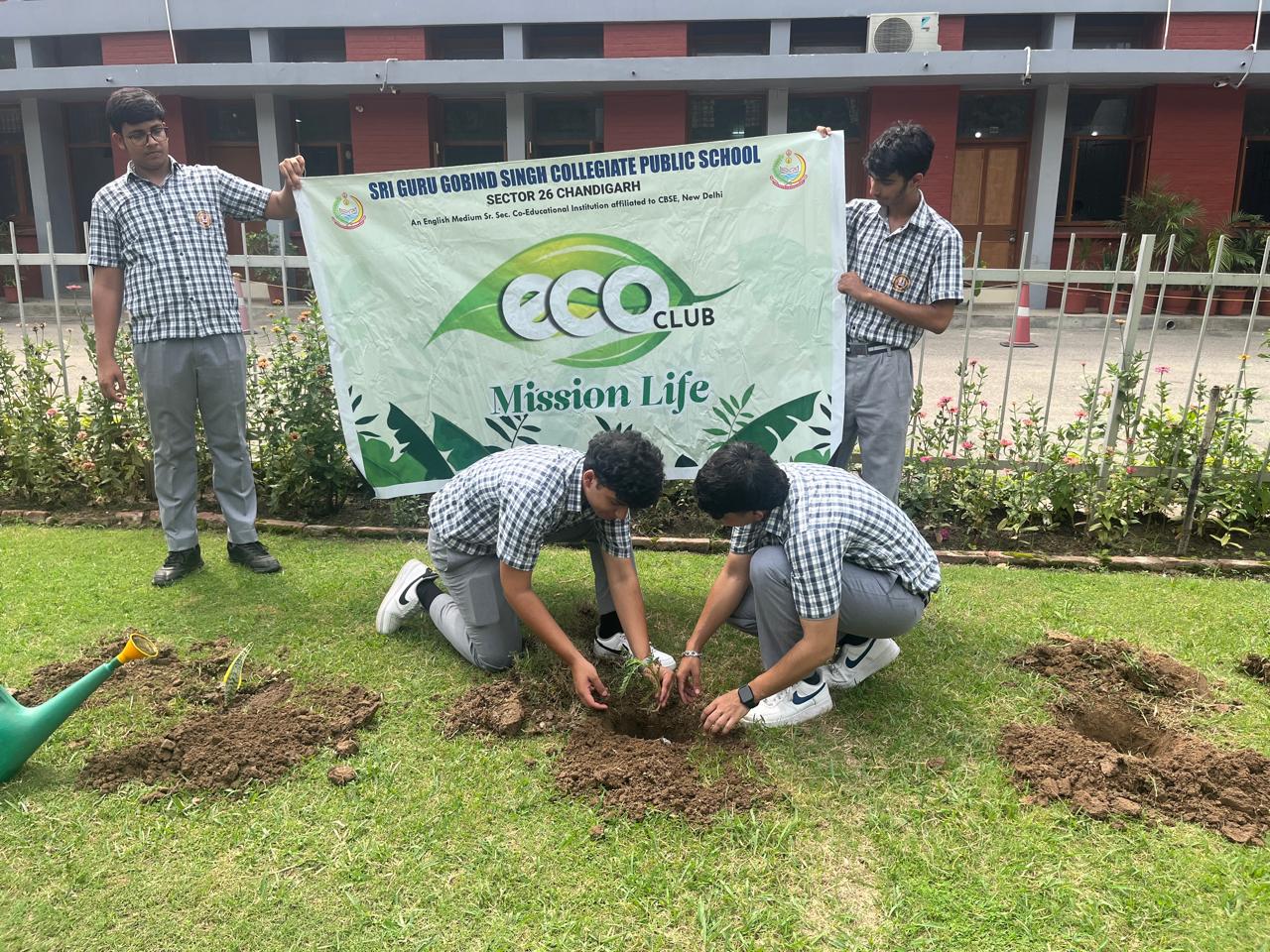 Tree Plantation Programme