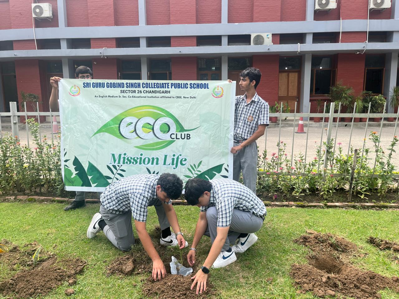 Tree Plantation Programme