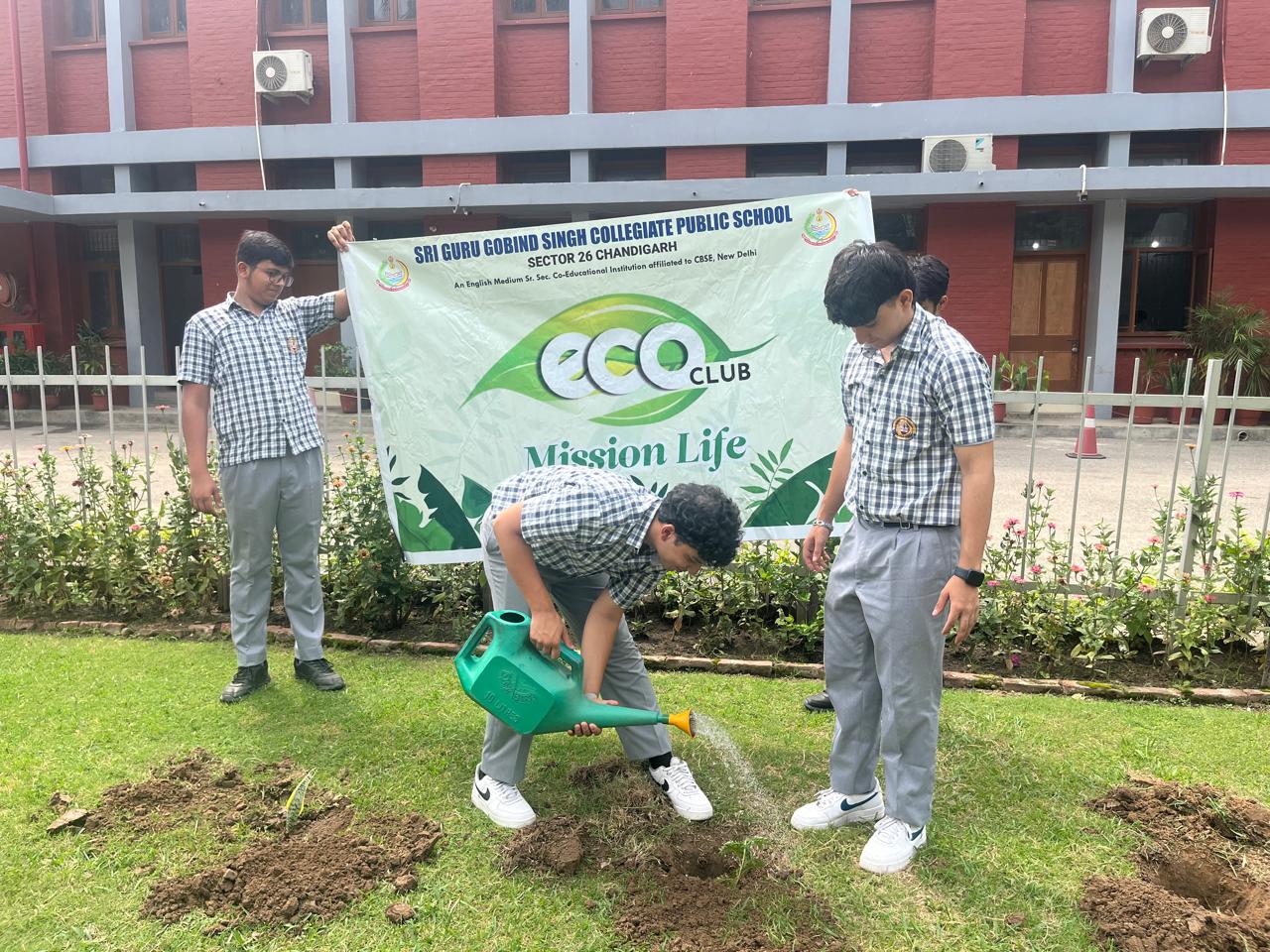 Tree Plantation Programme