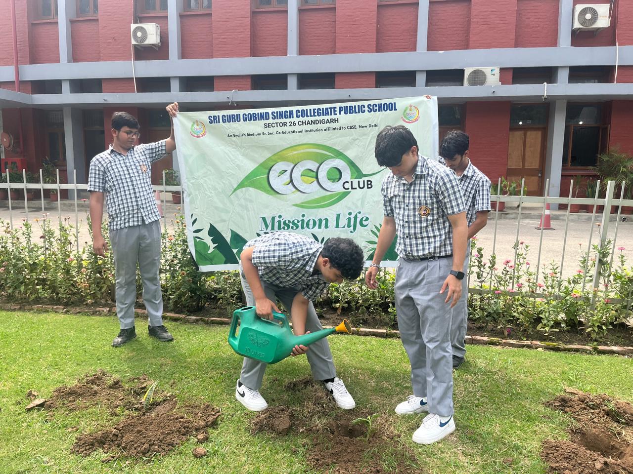 Tree Plantation Programme