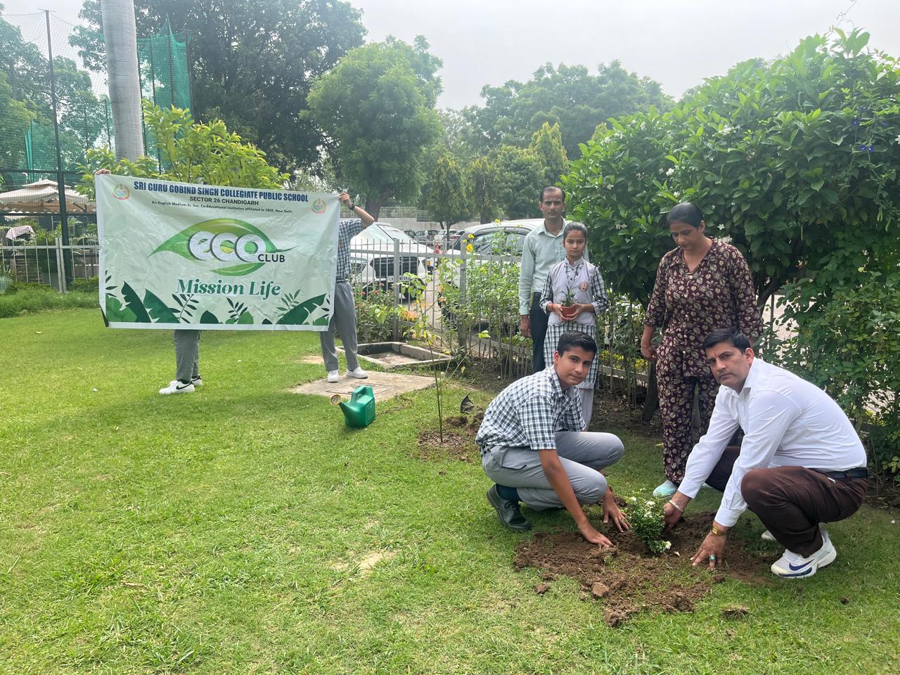 Tree Plantation Programme