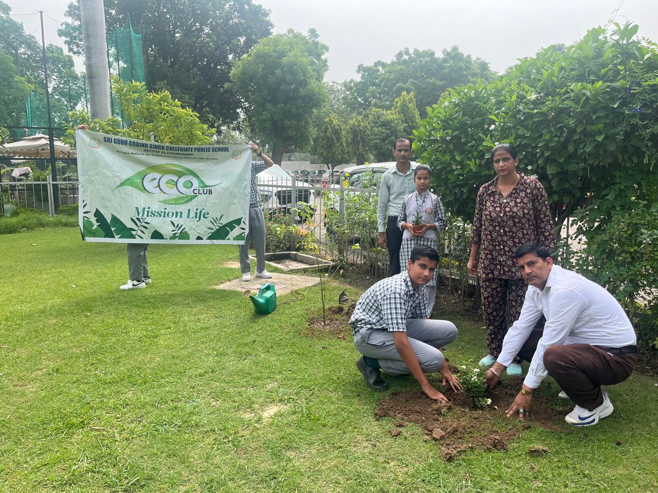 Tree Plantation Programme