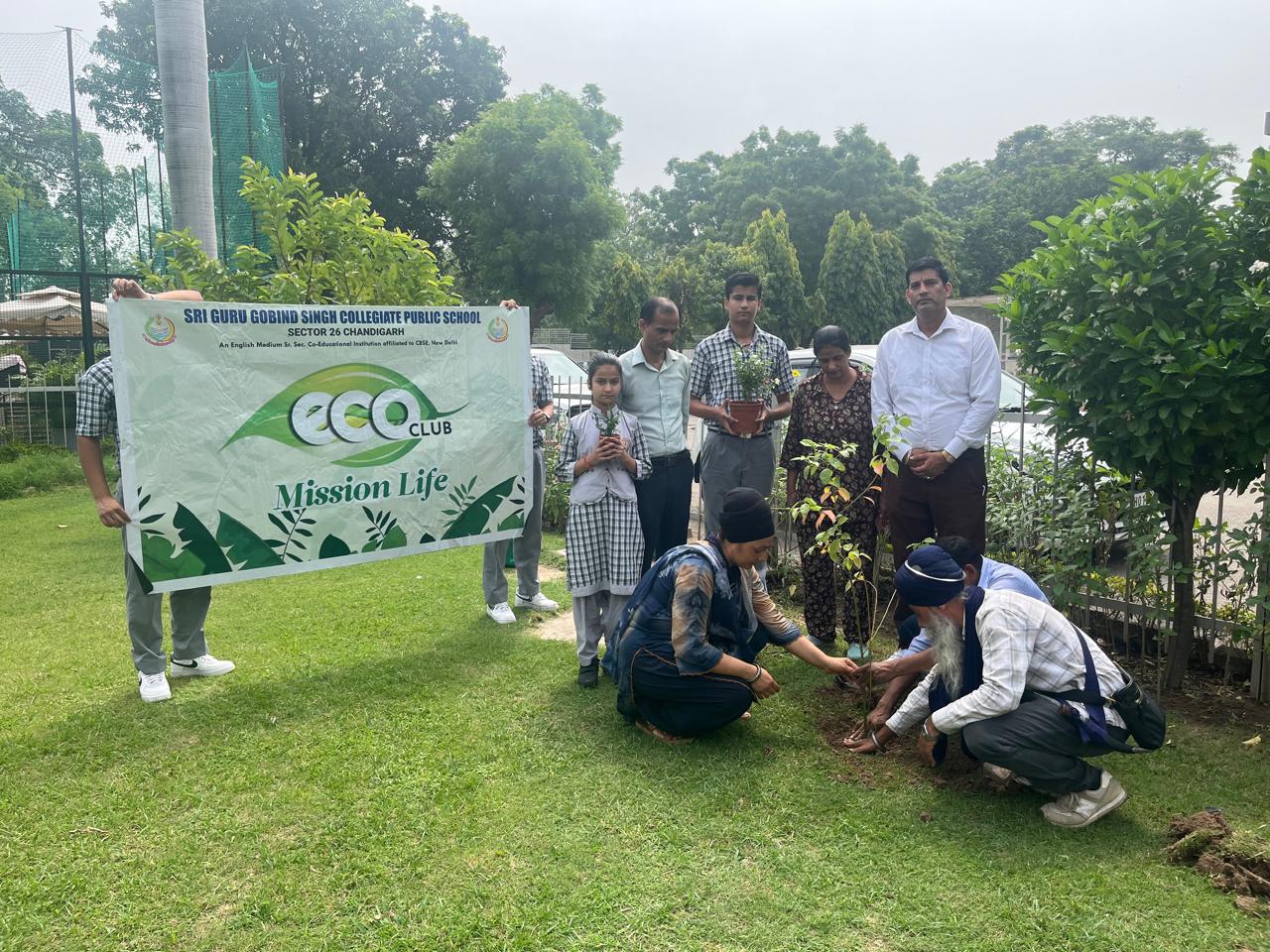 Tree Plantation Programme