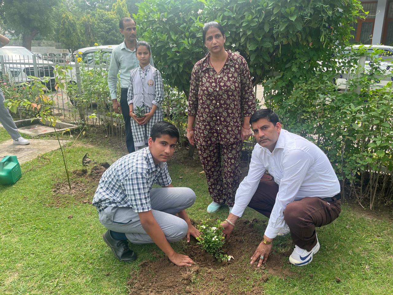 Tree Plantation Programme