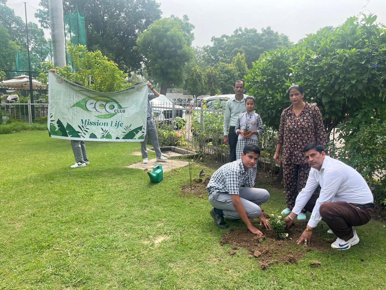 Tree Plantation Programme
