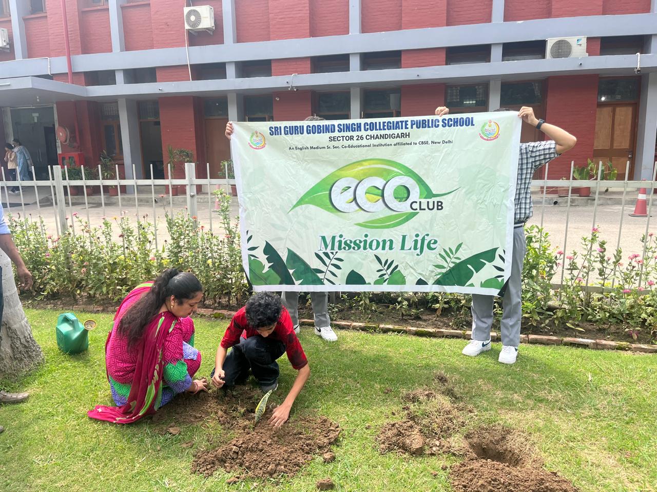 Tree Plantation Programme