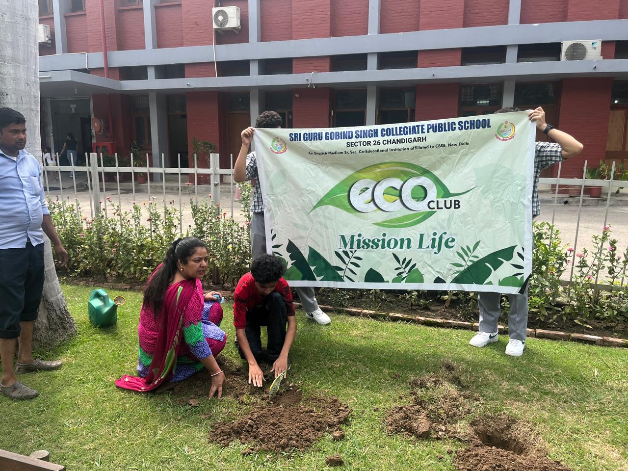 Tree Plantation Programme