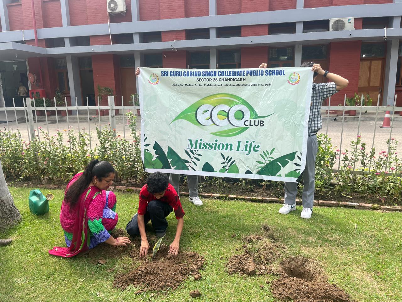 Tree Plantation Programme