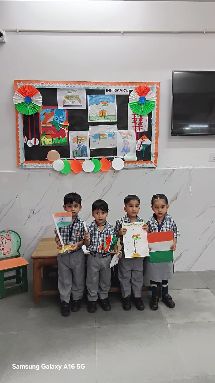 Tiny Tots Tricolour Activity