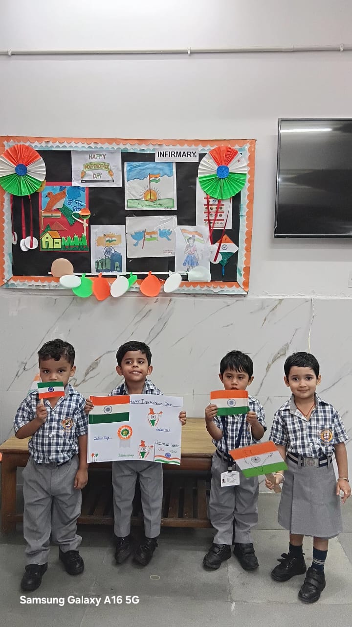 Tiny Tots Tricolour Activity